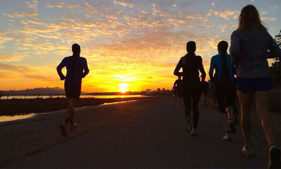 营口计步器问答案例